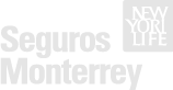 Seguros moterrey
